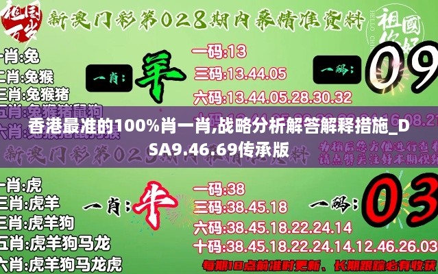 香港最准的100%肖一肖,战略分析解答解释措施_DSA9.46.69传承版