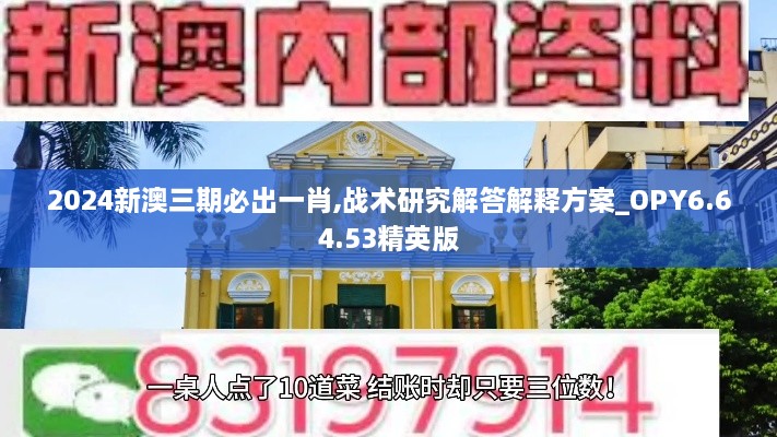 2024新澳三期必出一肖,战术研究解答解释方案_OPY6.64.53精英版