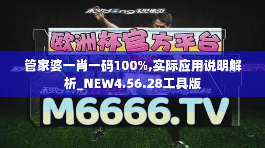 管家婆一肖一码100%,实际应用说明解析_NEW4.56.28工具版