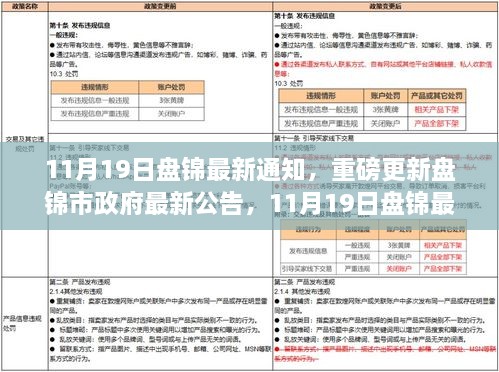 盘锦市政府最新公告及详解，11月19日重磅更新通知