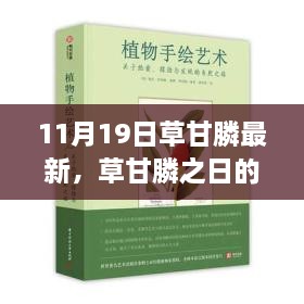 草甘膦之日的绿色征途，自然秘境探险与内心平静的追寻