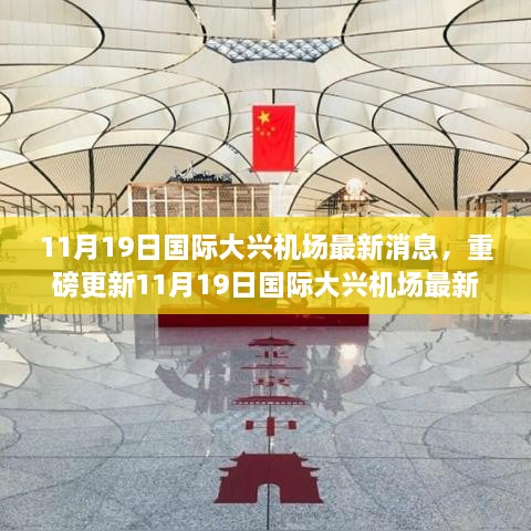 11月19日国际大兴机场最新动态揭秘