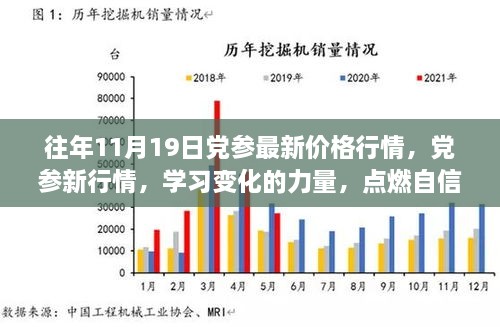 往年11月19日党参行情更新，新行情揭示变化力量，点燃自信成就之光