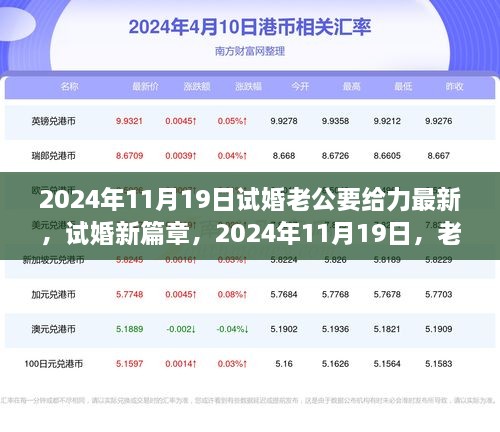 试婚新篇章，老公的角色与责任担当——2024年11月19日最新篇章