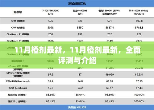 最新评测与介绍，11月橙剂全面解析