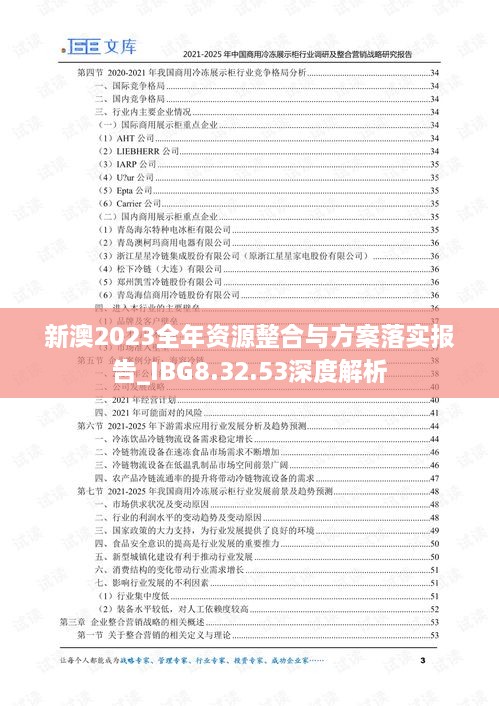 新澳2023全年资源整合与方案落实报告_IBG8.32.53深度解析