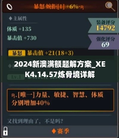 2024新澳满额题解方案_XEK4.14.57炼骨境详解