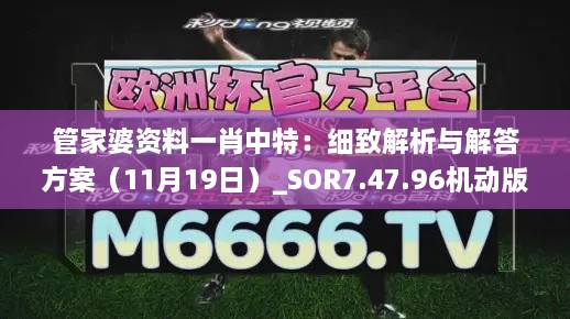 管家婆资料一肖中特：细致解析与解答方案（11月19日）_SOR7.47.96机动版