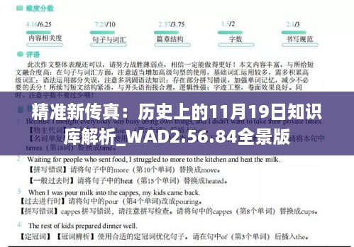 精准新传真：历史上的11月19日知识库解析_WAD2.56.84全景版