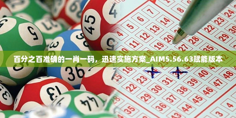 百分之百准确的一肖一码，迅速实施方案_AIM5.56.63赋能版本