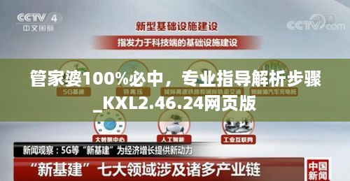 管家婆100%必中，专业指导解析步骤_KXL2.46.24网页版