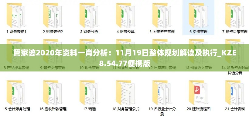 管家婆2020年资料一肖分析：11月19日整体规划解读及执行_KZE8.54.77便携版