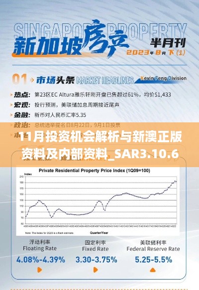 11月投资机会解析与新澳正版资料及内部资料_SAR3.10.63轻奢版