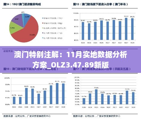 澳门特别注解：11月实地数据分析方案_OLZ3.47.89新版