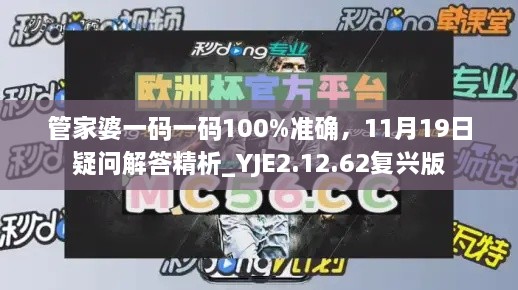 管家婆一码一码100%准确，11月19日疑问解答精析_YJE2.12.62复兴版