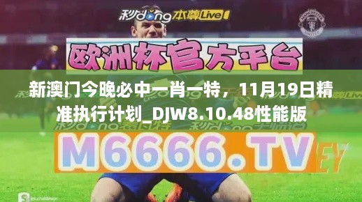 新澳门今晚必中一肖一特，11月19日精准执行计划_DJW8.10.48性能版