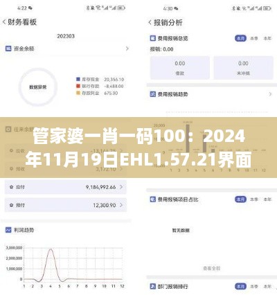 管家婆一肖一码100：2024年11月19日EHL1.57.21界面版的详细解答与实施