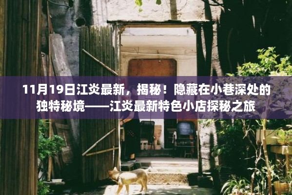 江炎特色小店探秘，揭秘小巷深处的独特秘境之旅