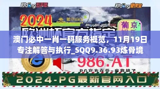 澳门必中一肖一码服务概览，11月19日专注解答与执行_SQQ9.36.93炼骨境