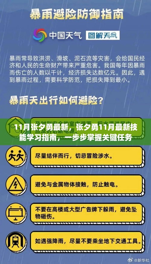 张夕勇最新技能学习指南，掌握关键任务，助力成长之路（11月版）