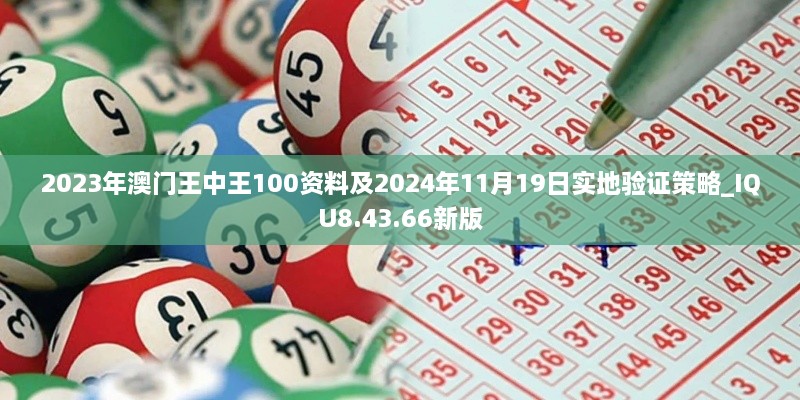 2023年澳门王中王100资料及2024年11月19日实地验证策略_IQU8.43.66新版