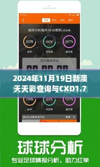 2024年11月19日新澳天天彩查询与CXD1.74.83运动版解答计划