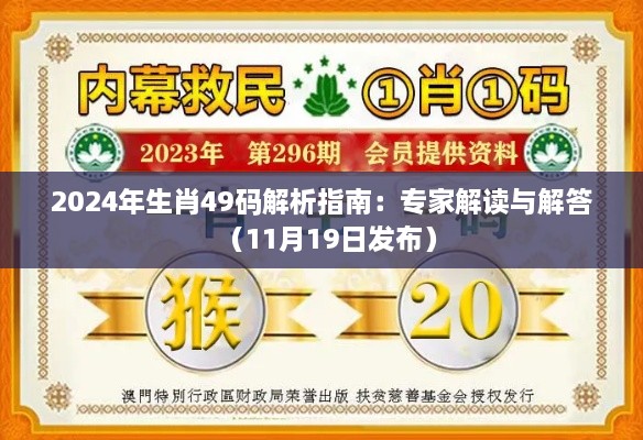 2024年生肖49码解析指南：专家解读与解答（11月19日发布）