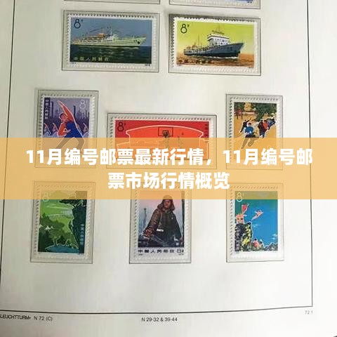 11月编号邮票行情深度解析，市场走势概览