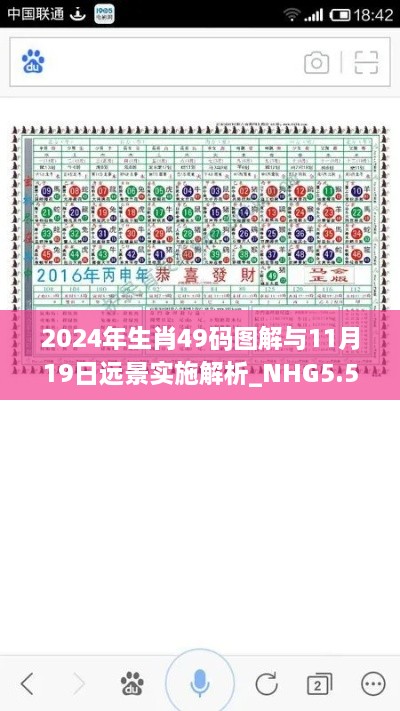 2024年生肖49码图解与11月19日远景实施解析_NHG5.54.66版