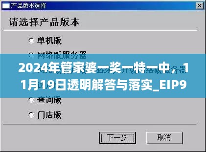 2024年管家婆一奖一特一中，11月19日透明解答与落实_EIP9.10.53日常版