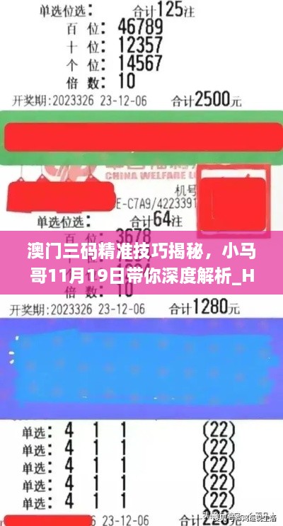 澳门三码精准技巧揭秘，小马哥11月19日带你深度解析_HYH1.75.88拍照版