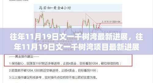 往年11月19日文一千树湾项目最新进展详解，共建美好家园的每一步引领