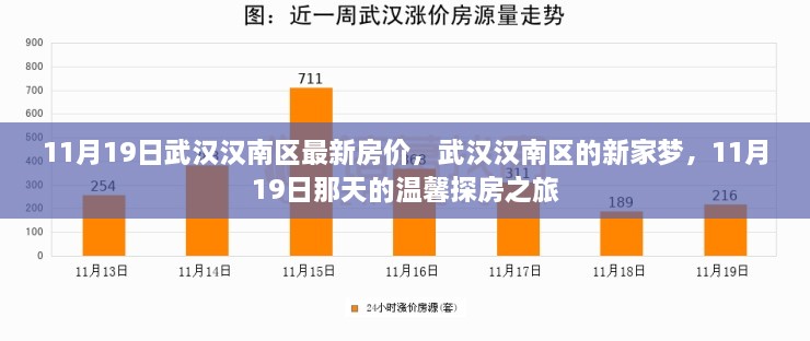 武汉汉南区最新房价揭秘，11月19日新家梦探房之旅的温馨之旅