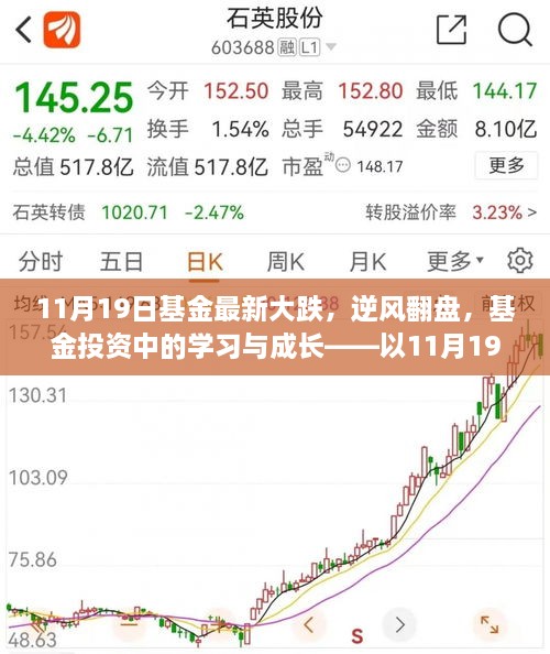 逆风翻盘，基金投资中的学习与成长——解析基金市场11月19日大跌