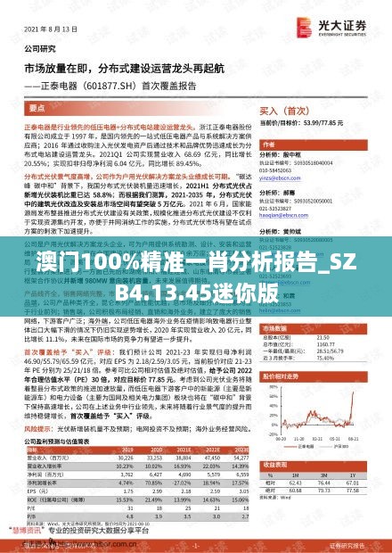 澳门100%精准一肖分析报告_SZB4.13.45迷你版