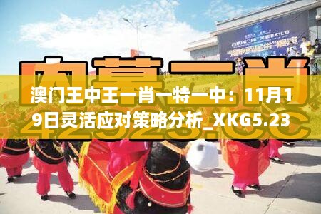 澳门王中王一肖一特一中：11月19日灵活应对策略分析_XKG5.23.64限量版