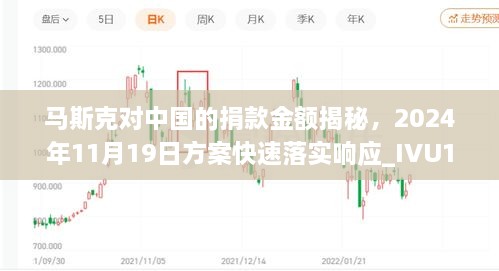 马斯克对中国的捐款金额揭秘，2024年11月19日方案快速落实响应_IVU1.57.61安全版