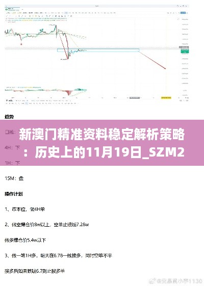 新澳门精准资料稳定解析策略：历史上的11月19日_SZM2.72.76便签版