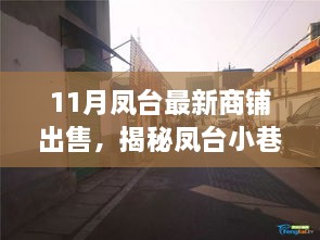 凤台小巷特色商铺揭秘，最新商铺出售与探秘等你来体验