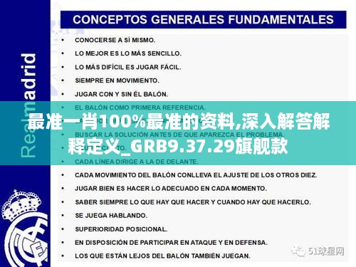 最准一肖100%最准的资料,深入解答解释定义_GRB9.37.29旗舰款