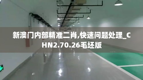 新澳门内部精准二肖,快速问题处理_CHN2.70.26毛坯版