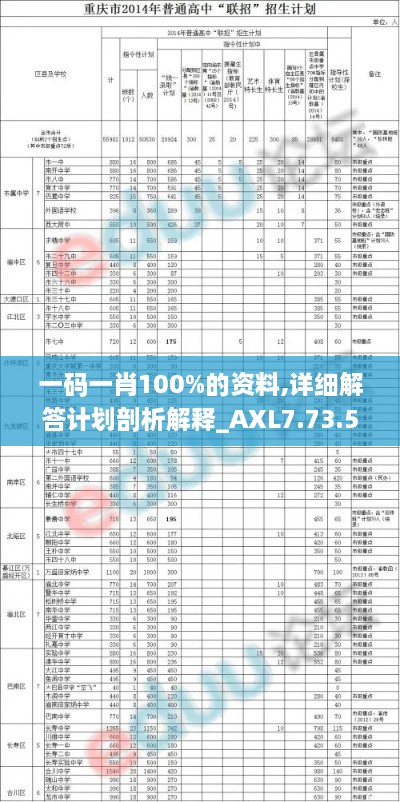 一码一肖100%的资料,详细解答计划剖析解释_AXL7.73.50主力版