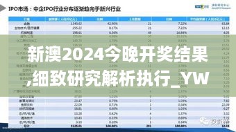 新澳2024今晚开奖结果,细致研究解析执行_YWN1.19.32智巧版