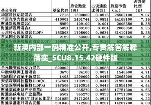 新澳内部一码精准公开,专责解答解释落实_SCU8.15.42硬件版