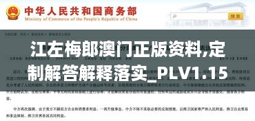 江左梅郎澳门正版资料,定制解答解释落实_PLV1.15.91投影版