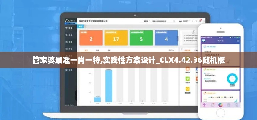 管家婆最准一肖一特,实践性方案设计_CLX4.42.36随机版