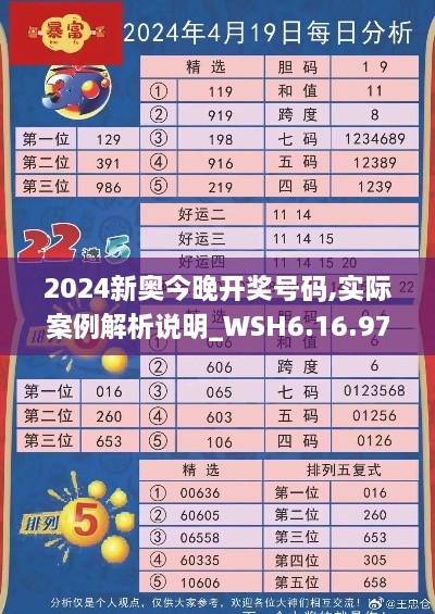 2024新奥今晚开奖号码,实际案例解析说明_WSH6.16.97超清版