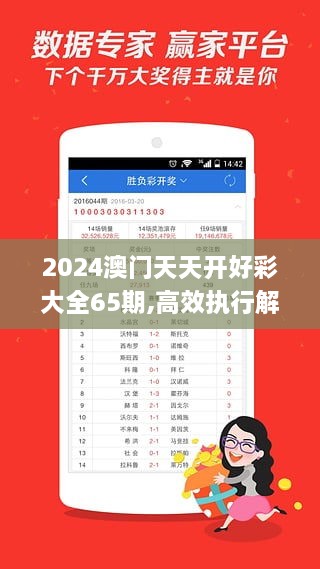 2024澳门天天开好彩大全65期,高效执行解答解释措施_JSA2.74.69时空版