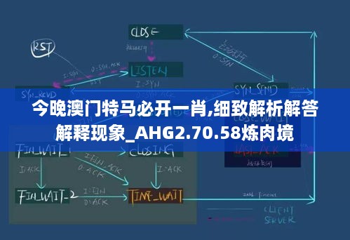 今晚澳门特马必开一肖,细致解析解答解释现象_AHG2.70.58炼肉境