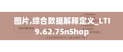 图片,综合数据解释定义_LTI9.62.75nShop